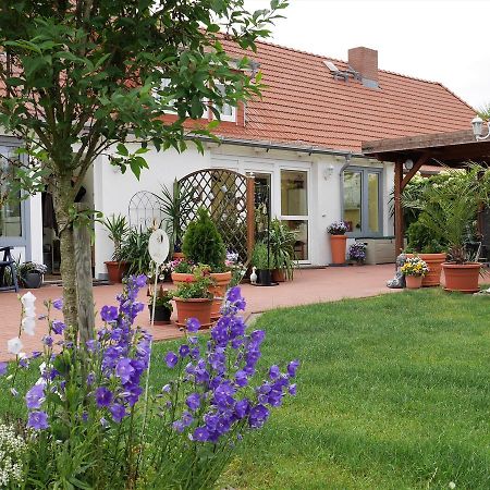 Pretty Apartment In Am Salzhaff With Fireplace Rakow Esterno foto